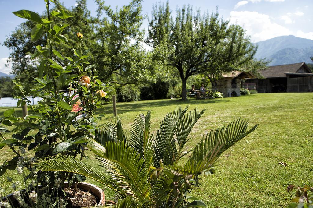 Pension Stausee Sankt Jakob im Rosental Kültér fotó